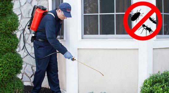 Güneysu Hamam Böceği İlaçlama böcek ilaçlama ve haşere kontrolü — ilaclama-tr.com